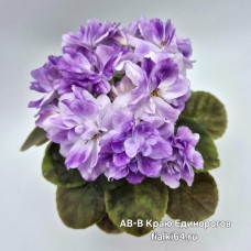 АВ-В Краю Единорогов